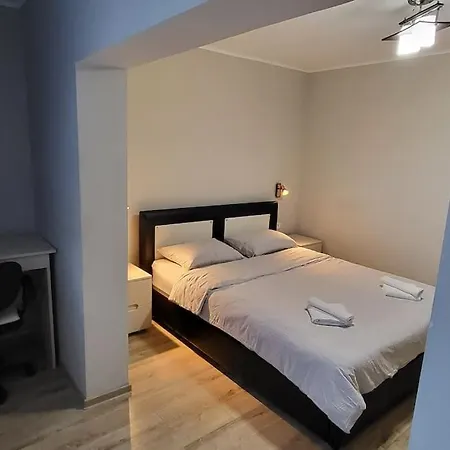 Sarianni Apartament 3 * Timisoara